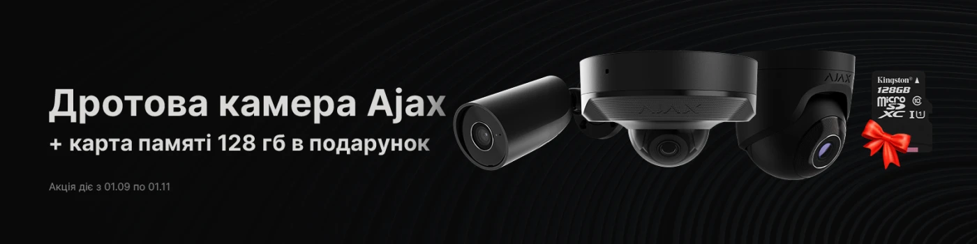 Опис зображення 1