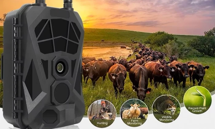 Фотопастка JerderFo HG200 Black фото 6