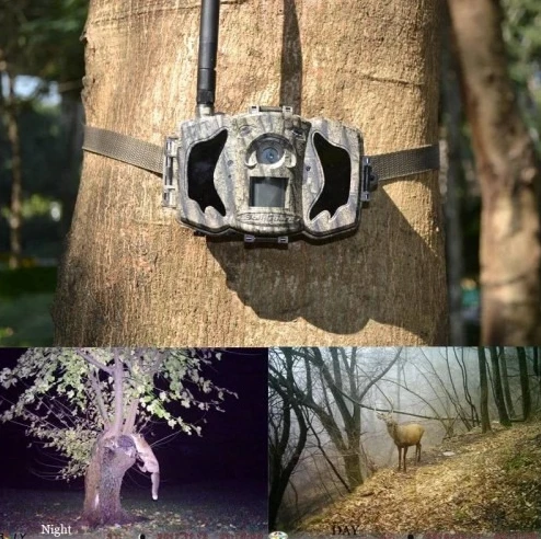 Фотопастка BolyGuard MG984G-36M фото 5