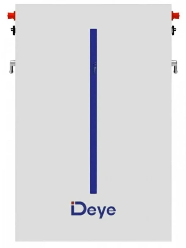 Акумулятор Deye RW-M6.1