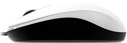 Миша Genius DX-110 White (31010116102) фото 3