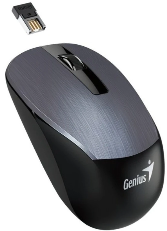 Миша бездротова Genius NX-7015 Iron Gray (31030019400)