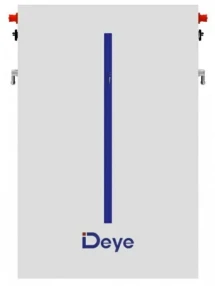 Акумулятор Deye RW-M6.1