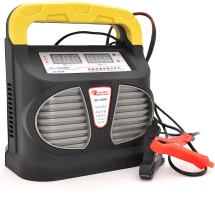 Зарядное устройство для АКБ (автоматическое) WesunWell XX-005/010 12V / 24V (36-200Ah)