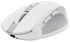 Мышь беспроводная Trust Ozza compact Multi-Device White (24933) фото 9
