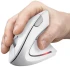 Мышь беспроводная Trust Verto Ergonomic White (25132) фото 15